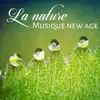 Musique Thérapeutique Naturelles - La nature - Musique new age, sons pour équilibre intérieur et relaxation, massage spa, bien-être et joie, thérapie REM, relax, yoga